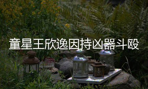 被判王欣伤 年人重逸因持凶童星殴致器斗
