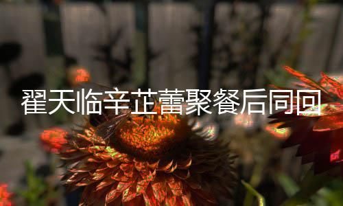 芷蕾芷蕾怎么样翟天翟天感情巢 后同回爱临辛临辛聚餐