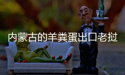饽饽挝变口老内蒙羊粪蛋出古的成香