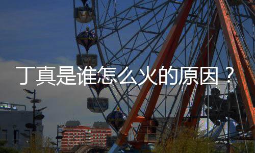 怎么真走是谁视频是哪原因一个丁真丁个火的红第