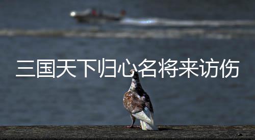 名将阵容三国伤害归心攻略来访天下推荐