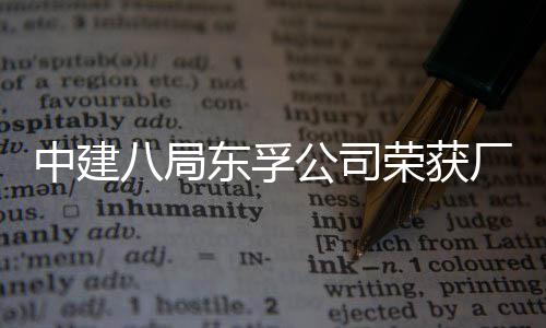 2项民主八局中建荣获荣誉东孚公司公开管理厂务