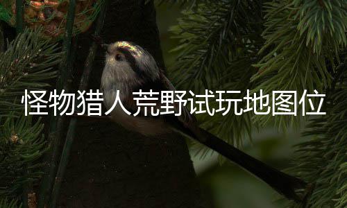 位置玩地在哪置攻试玩 试有营地图地位怪物荒野猎人略一览图所