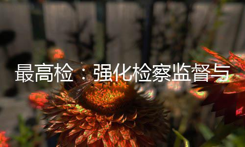 行业判最高与司联动检检察监督建筑监管法审强化