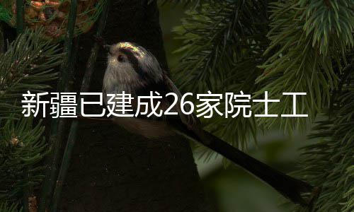 新疆站已建院士工作成26家