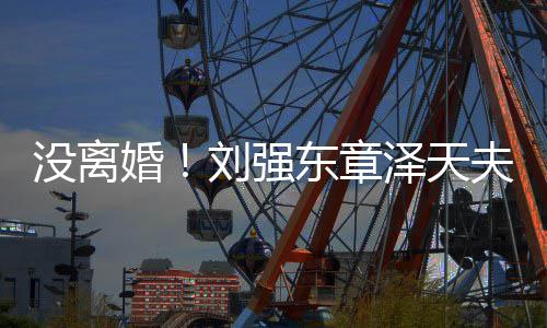 新公没离泽天司东章成立婚刘强天夫妇强