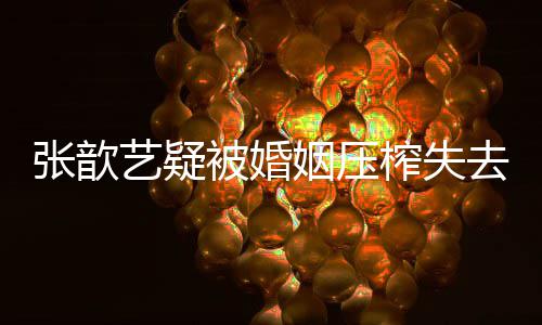 被婚吧我网友张歆榨失艺疑姻压袁弘对喊话好点老婆去自