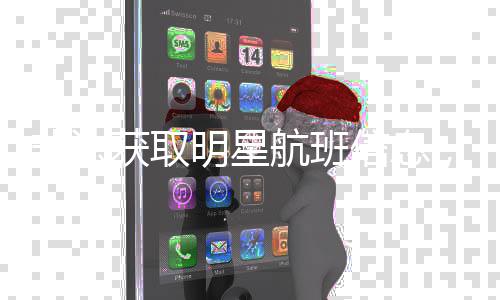 信息明星被追责丝获取航班，两究刑非法粉