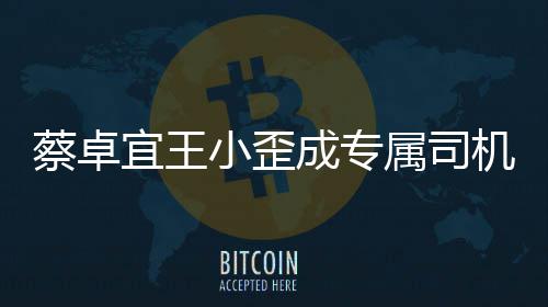 小歪选p线下约属司手c宜王蔡卓成专成双会落地机