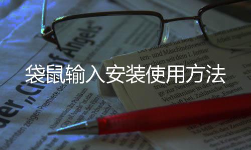 输入使用袋鼠安装方法