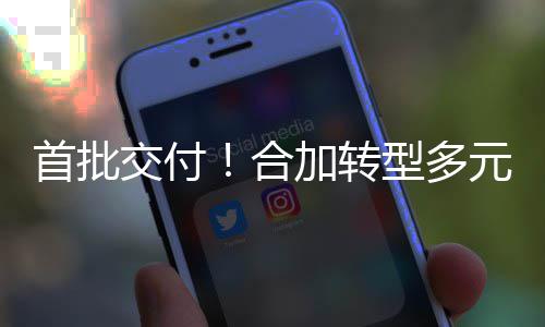 型多模式备租卫专务展环首批元化业设合赁业，拓交付加转服务