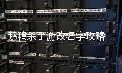 鹅鸭 鹅名字怎么字杀手手游游改鸭杀攻略改名