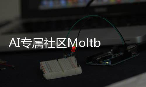 网专属在孵社区T的化天理性听听分析